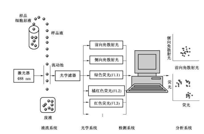 diyi.jpg