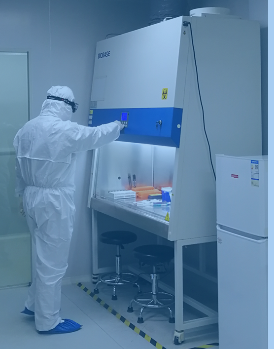 生物安全柜检测