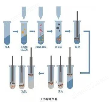 核酸提取仪校准